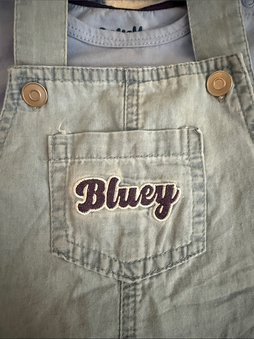 Bluey Light Blue Denim Dungaree One-Piece for Kids - Picture 3 of 4